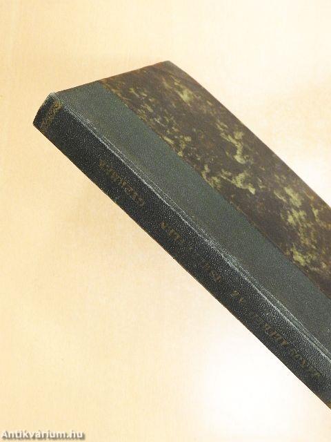 Az ismeretlen gyermek