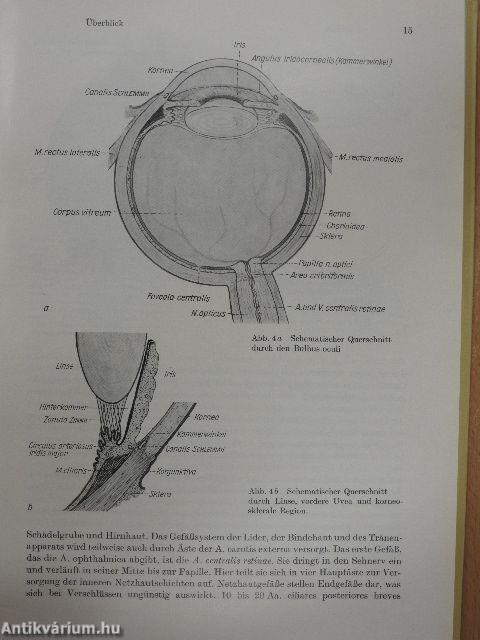 Ophthalmologie
