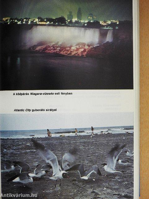 Amerikai Egyesült Államok