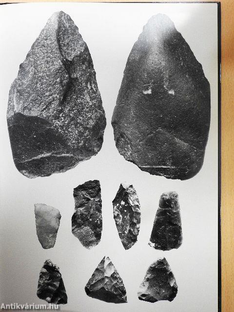 Archäologie des Eiszeitalters
