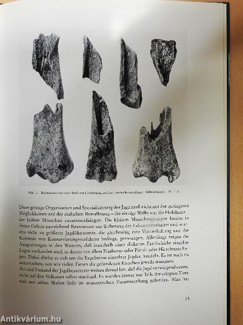 Archäologie des Eiszeitalters