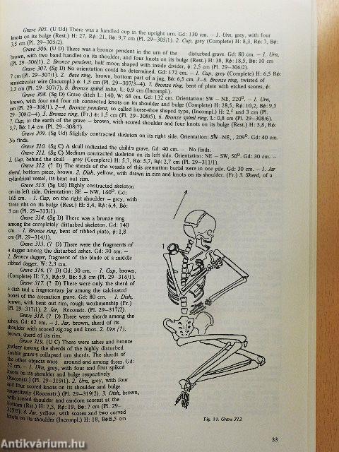 Tumulus culture cemeteries of Tiszafüred