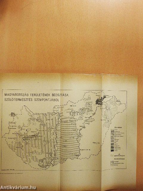 Szőlőtermesztő és borkezelő szakma