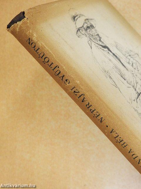 Néprajzi gyűjtőúton