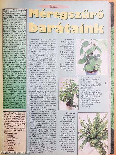 Természetgyógyász magazin 1996. január-december