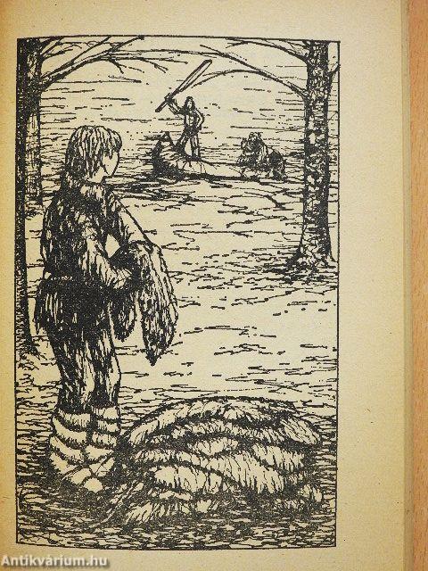 A sarkvidék Robinsonjai