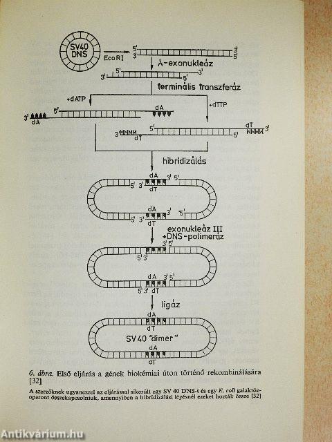A biológia aktuális problémái 9.