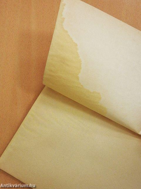 Vásárhelyi tanulmányok