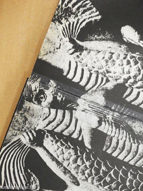 A katedrálisok kora