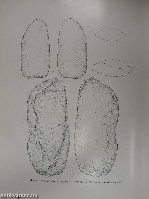 Archäologie des Eiszeitalters