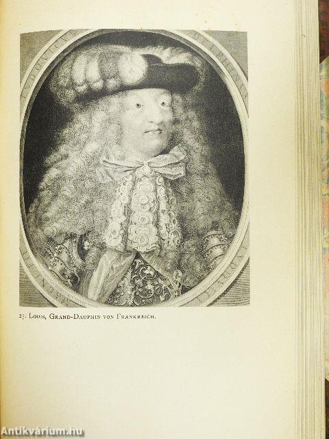 Der Hof Ludwigs XIV.