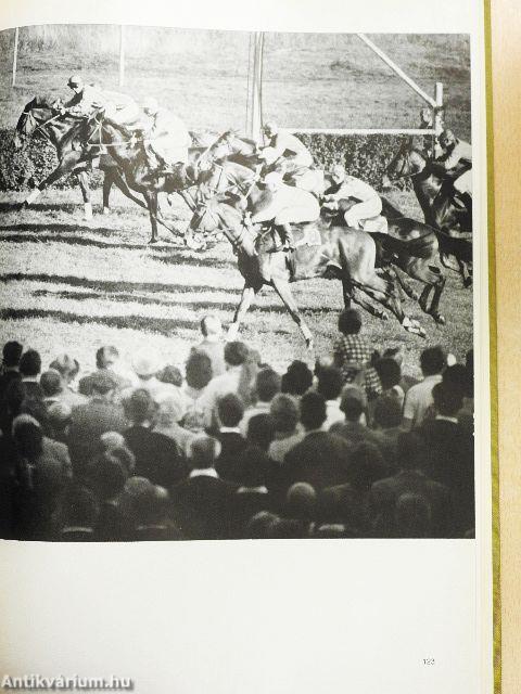 Temperament, Kraft, Harmonie