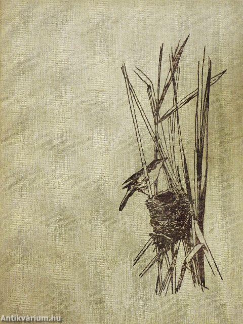 Geheimnisvolles leben am Wasser