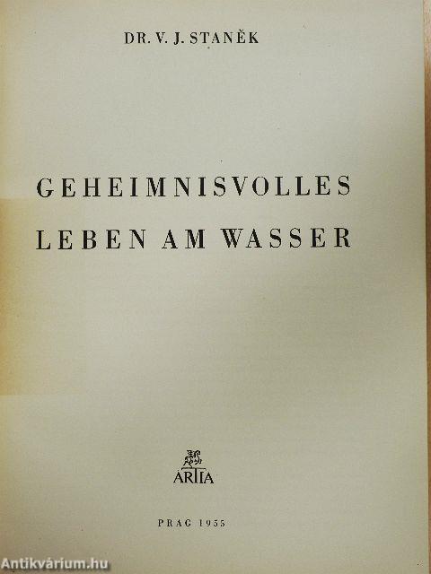 Geheimnisvolles leben am Wasser