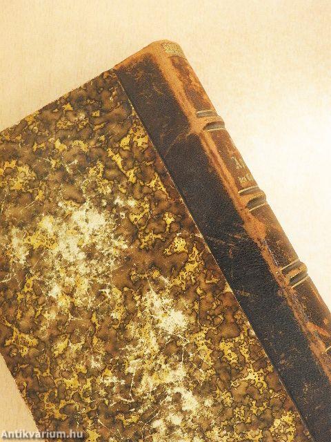 Natur und Uebernatur I. (gótbetűs) (töredék)