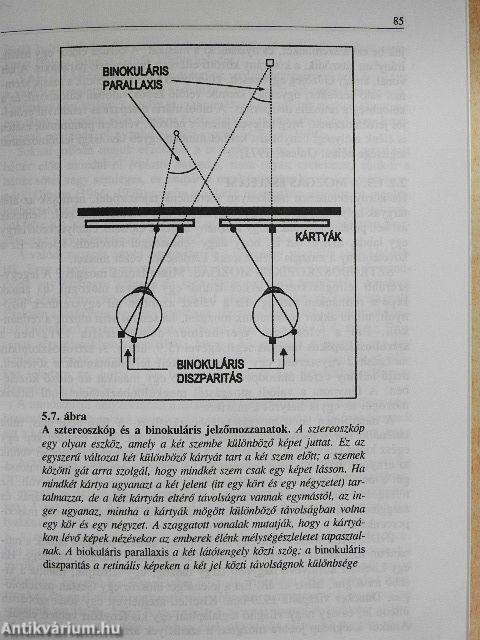 Bevezetés a pszichológiába