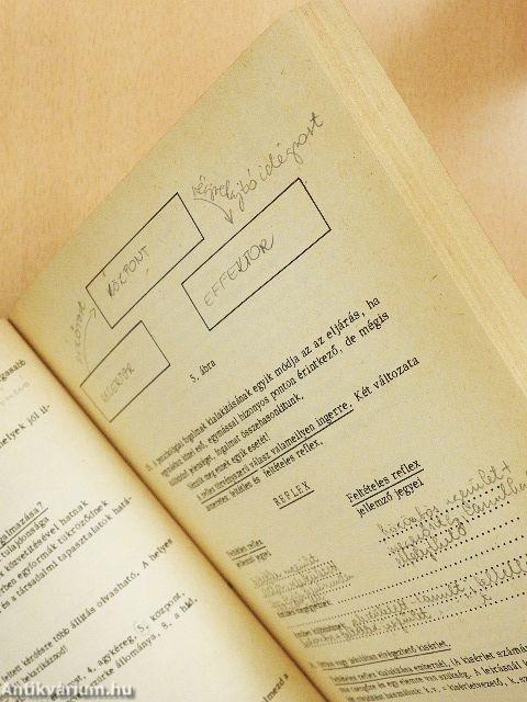 Pszichológiai gyakorlatok