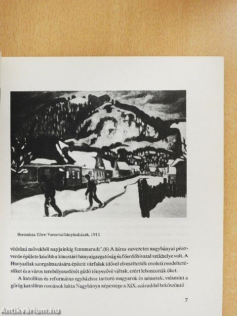 Nagybánya, művészet és város