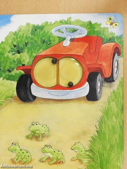 Nagyszemű lapozó - Mezei állatok