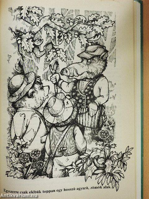 Mackó úr újabb utazásai