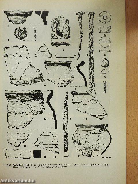 VII. századi avar települések és Árpád-kori magyar falu Dunaújvárosban