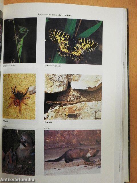 Budapest Lexikon I-II.