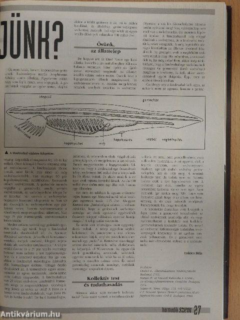 Harmadik Szem 1994. január-december