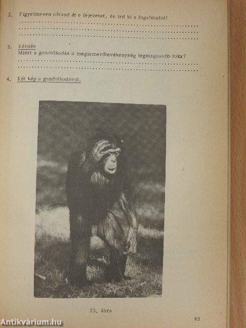 Pszichológiai gyakorlatok