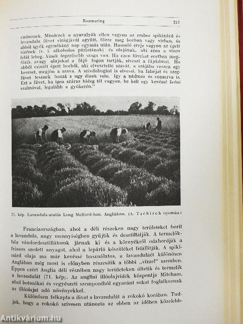 A magyarság virágai