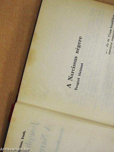 A Narcissus négere