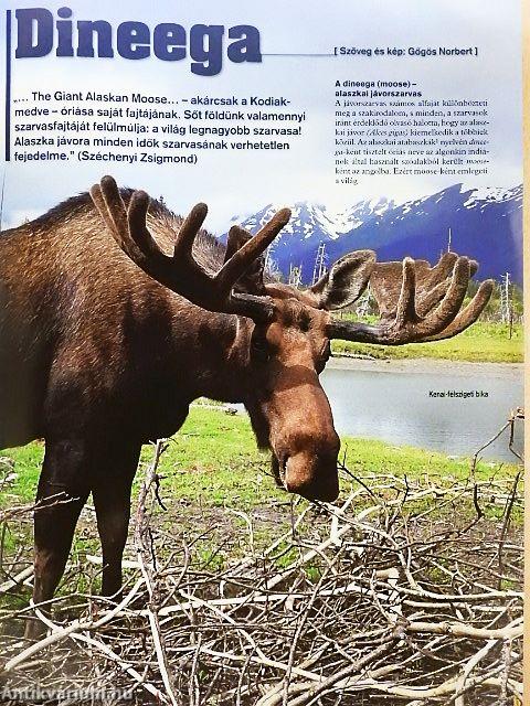 Nimród Safari 2013. június-július-augusztus