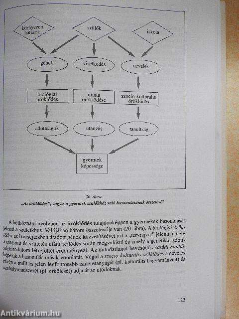 Felkészülés a családi életre
