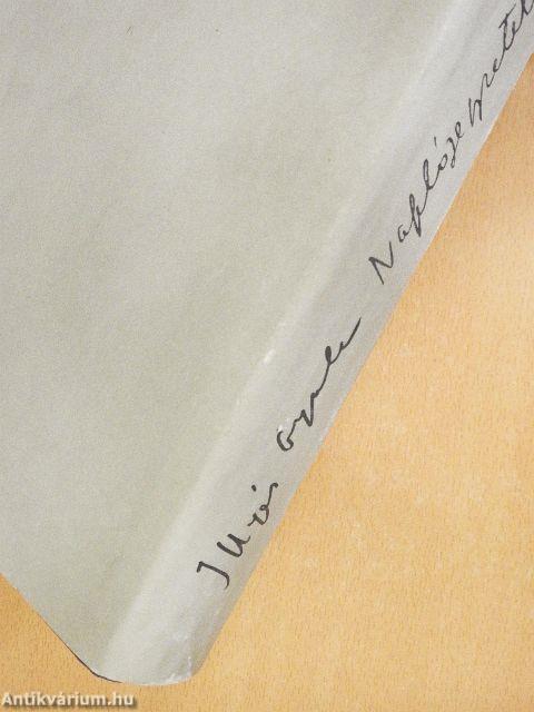 Naplójegyzetek 1975-1976