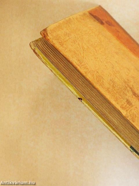 Zsuzsi Virágospusztán