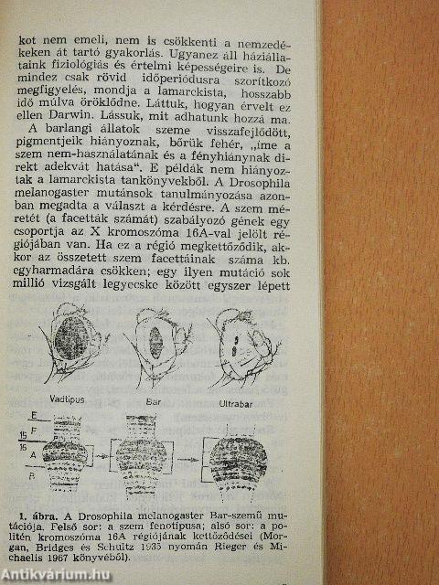 Átöröklés és evolúció