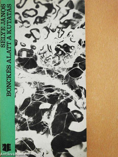 Bonckés alatt a kutatás