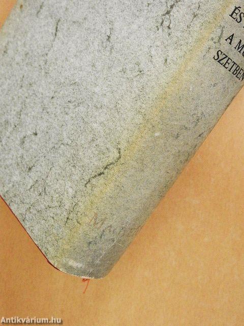 Látomás és indulat a művészetben