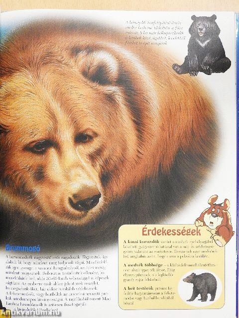 Varázslatos állatvilág