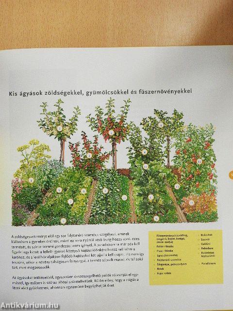 Lazán öröm kertészkedni