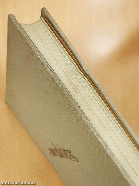 Győr városépítéstörténete