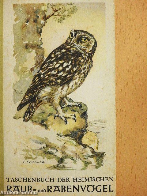 Raub- und Rabenvögel