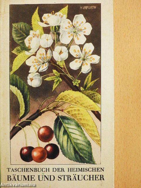 Bäume und Sträucher