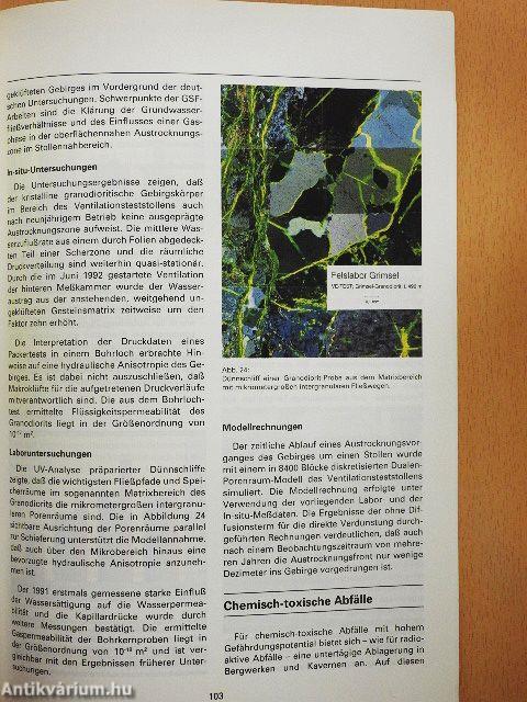 Bereich Ökologie Jahresbericht 1992