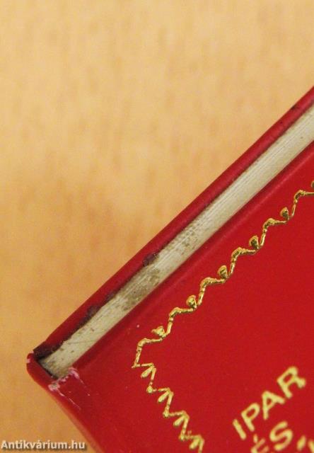 Ipar és művészet - nyomdászat (minikönyv)