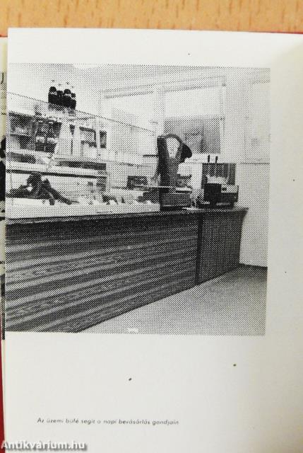 Ipar és művészet - nyomdászat (minikönyv)