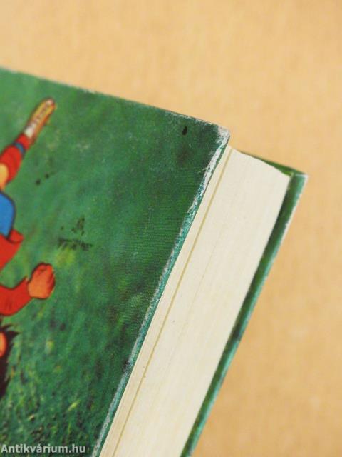 Világbajnokságok zöld gyepen (minikönyv) (számozott)
