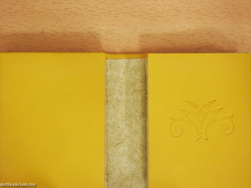 A honfoglalás (minikönyv)