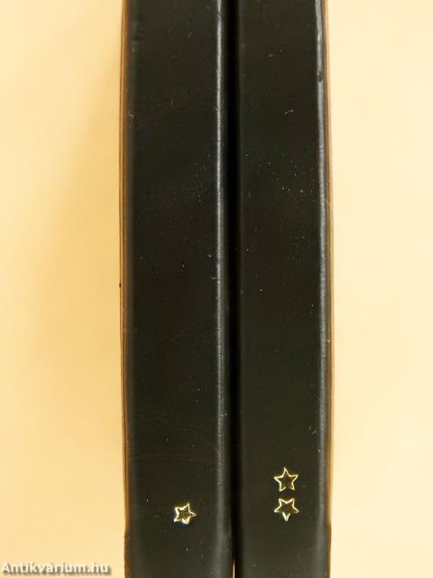 A magyar hadi főtanoda szerkezete I-II. (minikönyv)