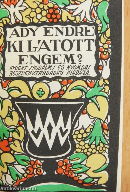Ki látott engem? (minikönyv)