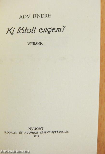 Ki látott engem? (minikönyv)